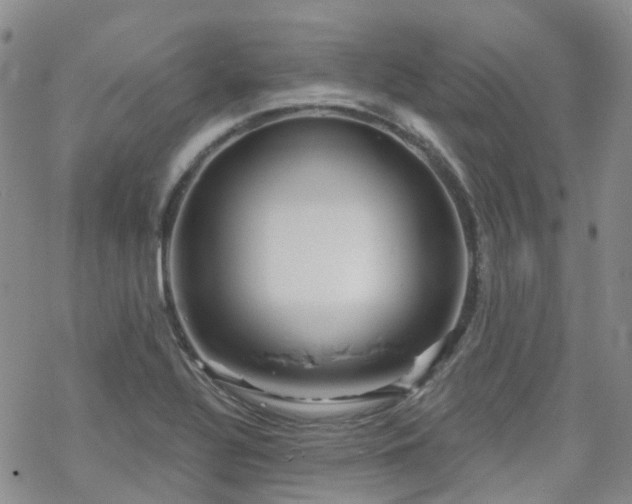 X0000070361320200606091022