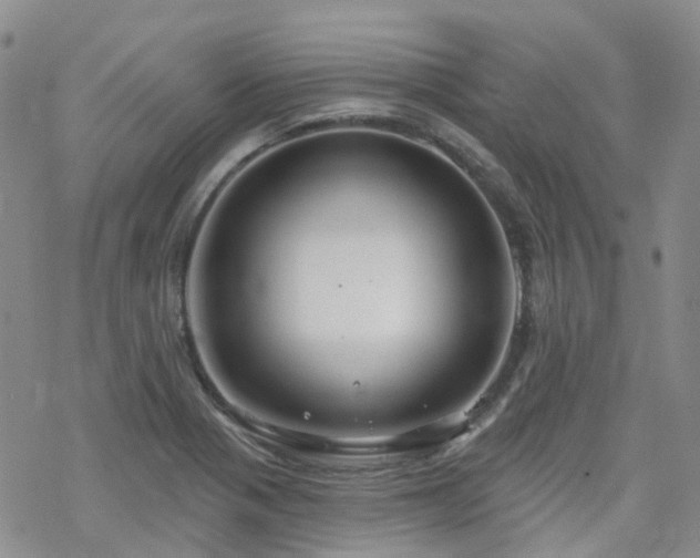 X0000070361321200606091022