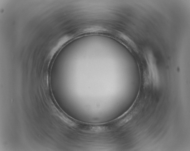 X0000070361322200606091022