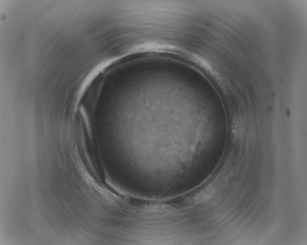 X0000070361323200606091022