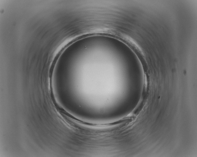 X0000070361324200606091022