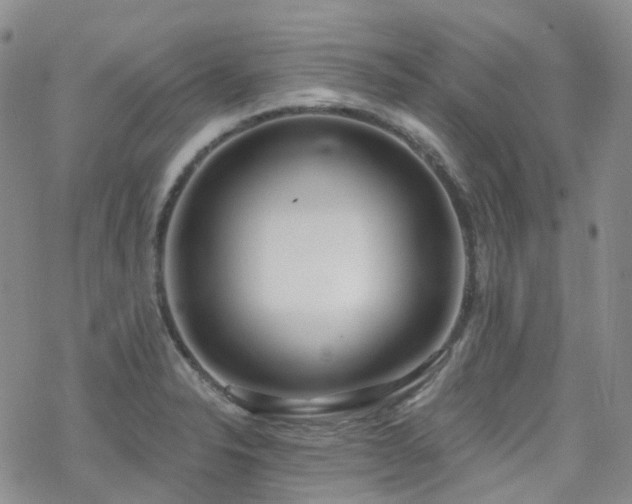 X0000070361326200606091022