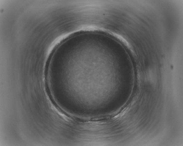 X0000070361327200606091022