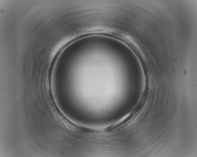 X0000070361328200606091022