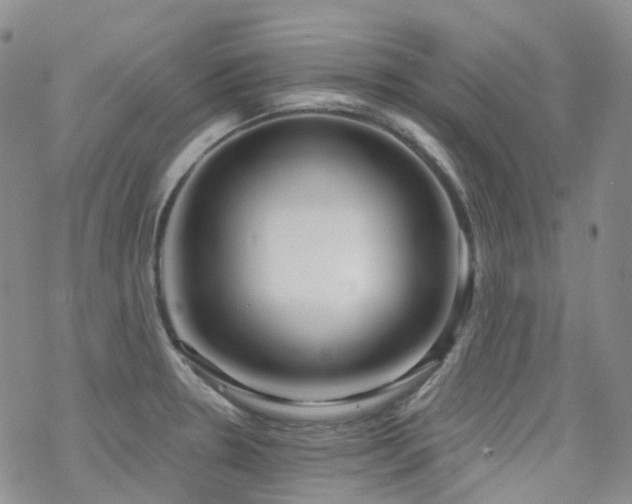 X0000070361330200606091022