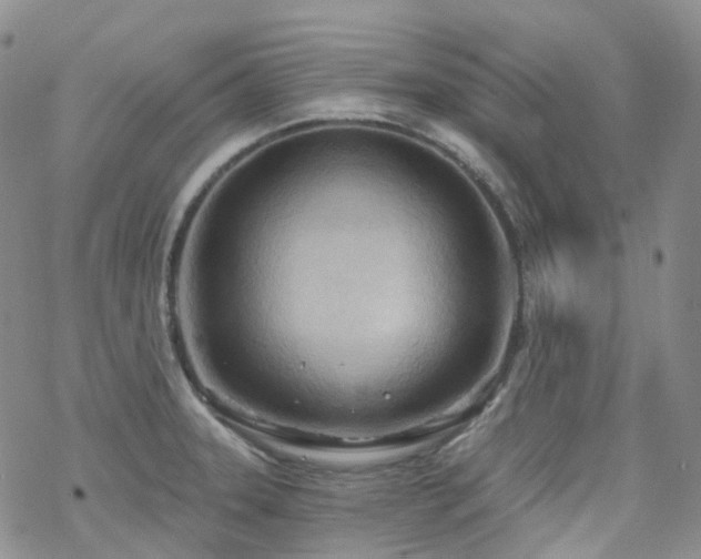 X0000070361331200606091022