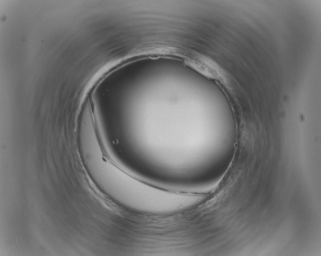 X0000070361332200606091022