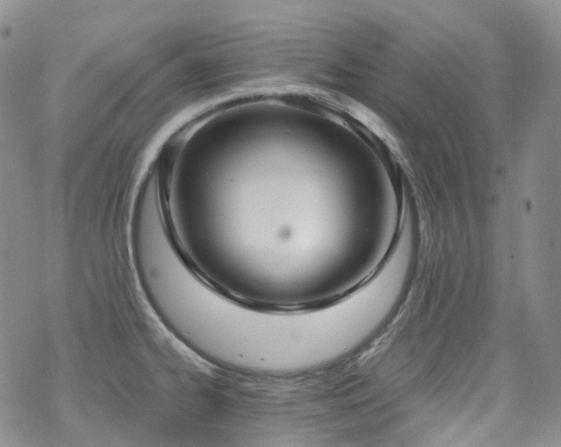 X0000070361334200606091022