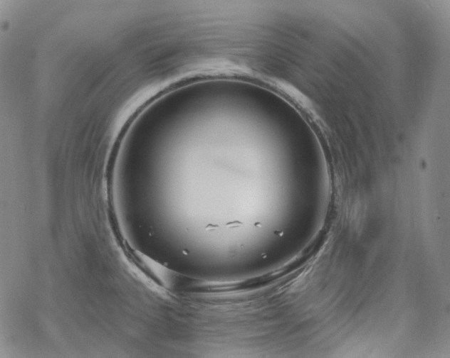 X0000070361335200606091022