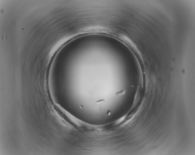 X0000070361336200606091022