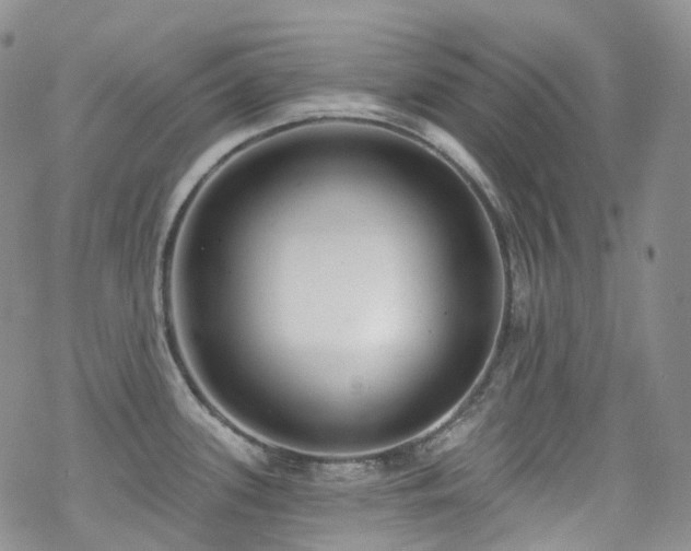 X0000070361339200606091022