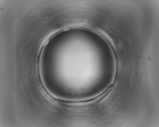 X0000070361340200606091022