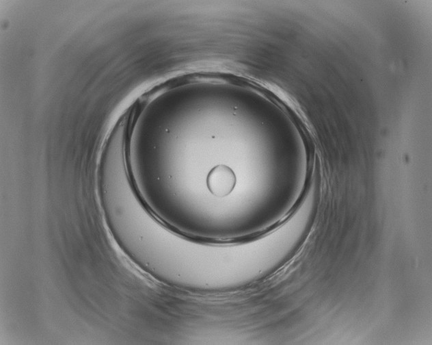 X0000070361342200606091022