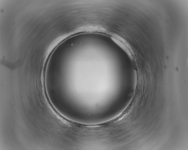 X0000070361343200606091022