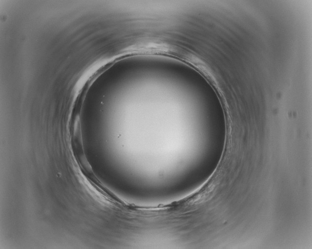 X0000070361344200606091022