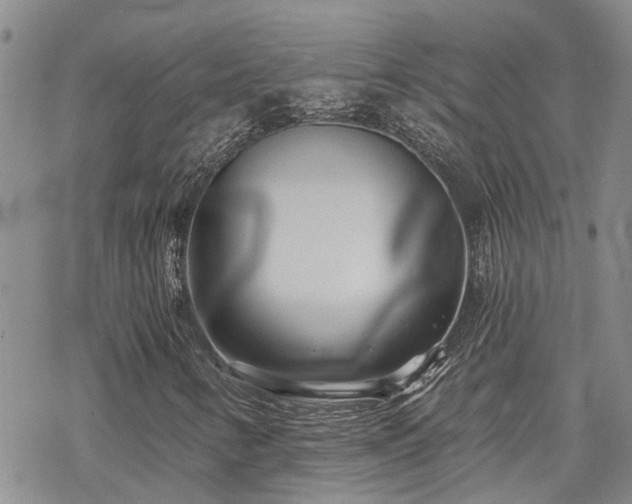 X0000070361346200606091021