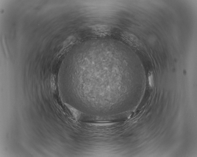 X0000070361347200606091021