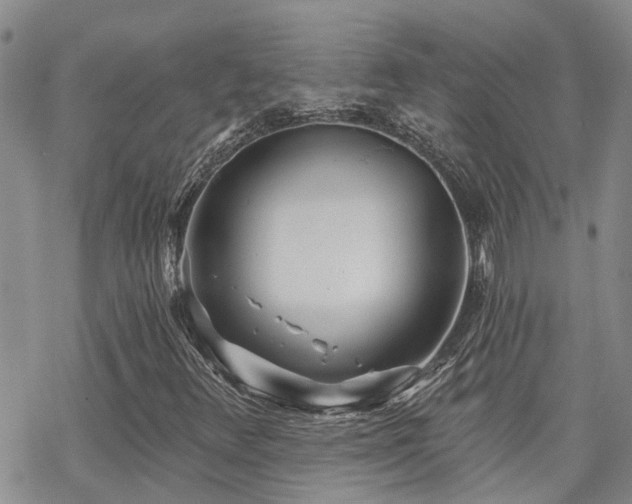 X0000070361348200606091021