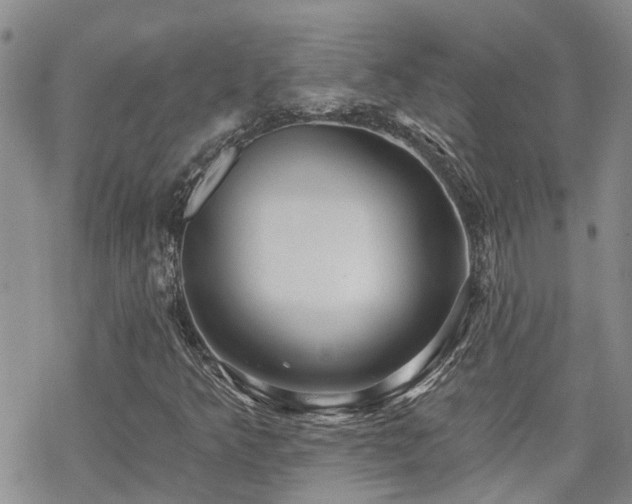 X0000070361349200606091021