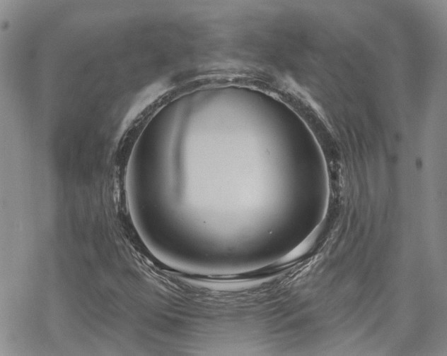 X0000070361352200606091021