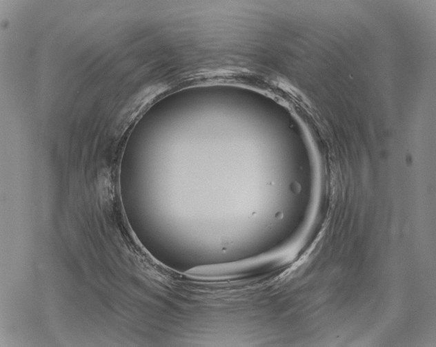 X0000070361353200606091021