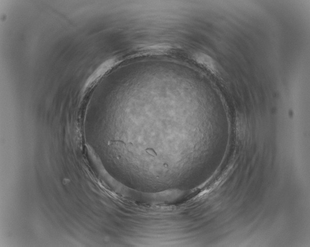 X0000070361354200606091021