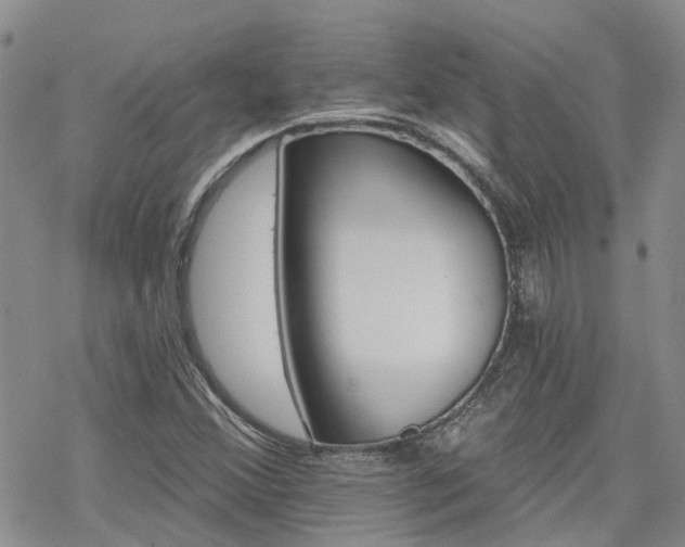 X0000070361356200606091021