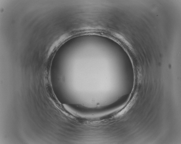 X0000070361357200606091021