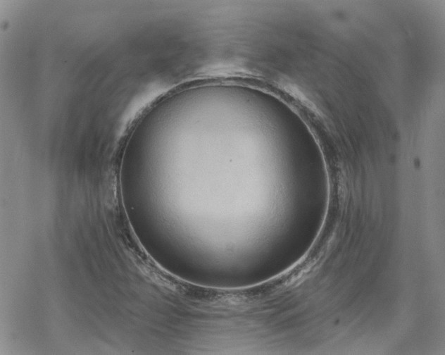 X0000070361358200606091021