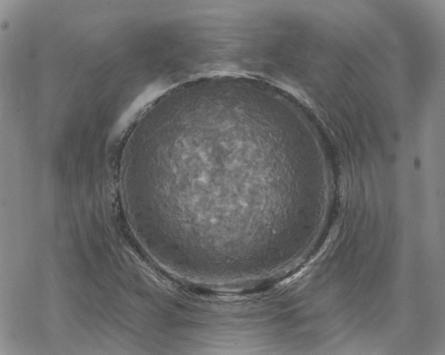 X0000070361359200606091021