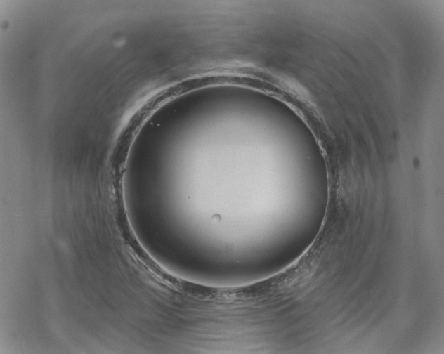 X0000070361360200606091021