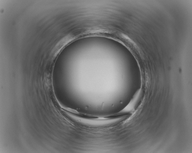 X0000070361361200606091021