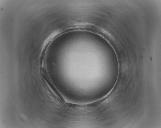 X0000070361362200606091021