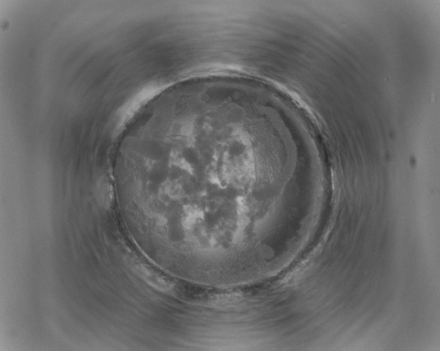 X0000070361363200606091021