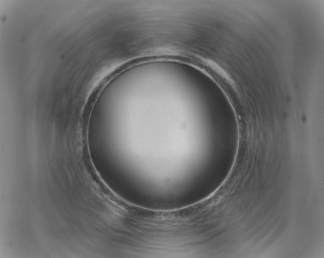 X0000070361364200606091021