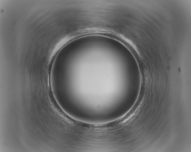 X0000070361365200606091021