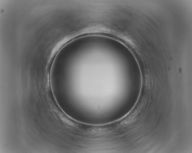 X0000070361366200606091021