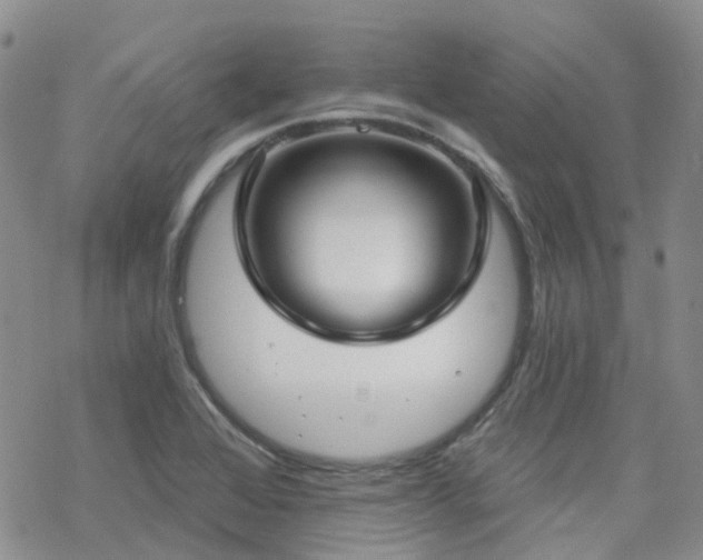 X0000070361368200606091021