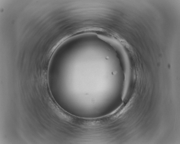 X0000070361369200606091021