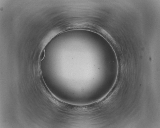 X0000070361370200606091021