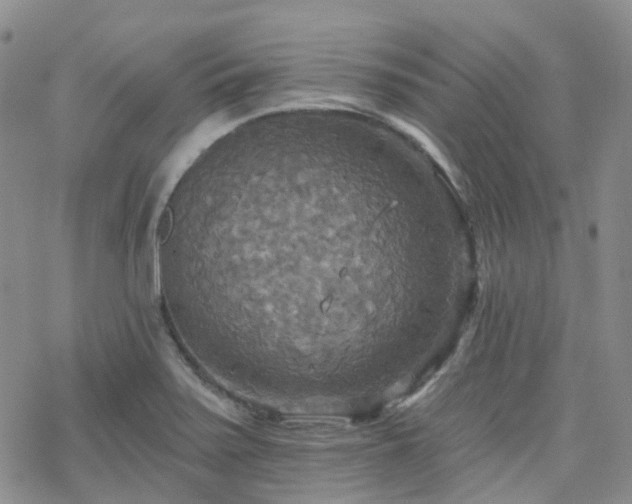 X0000070361371200606091021