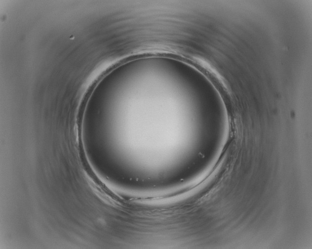 X0000070361372200606091021