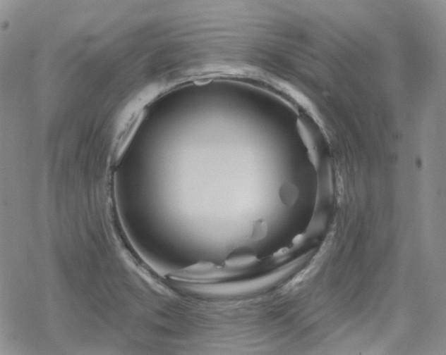 X0000070361373200606091021