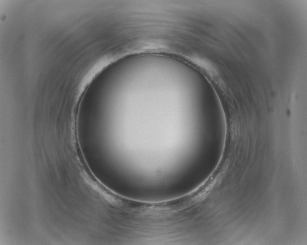 X0000070361374200606091021