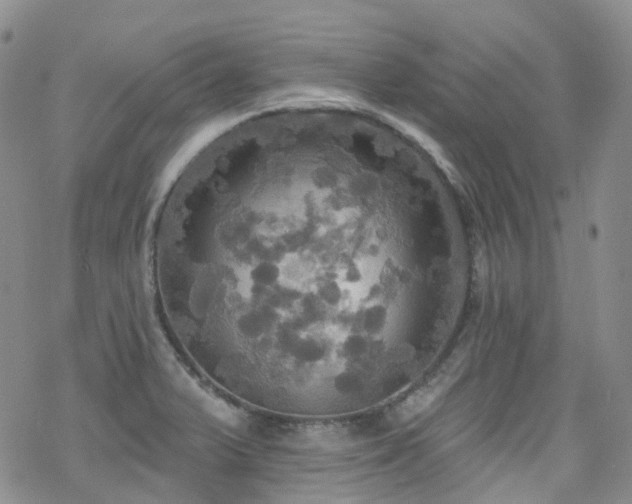 X0000070361375200606091021