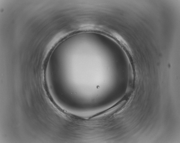 X0000070361376200606091021