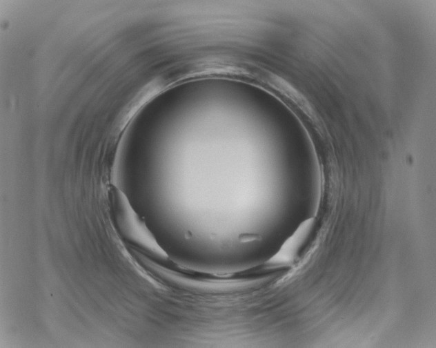 X0000070361377200606091021