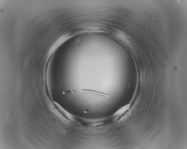 X0000070361378200606091021