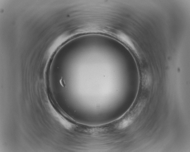 X0000070361380200606091021