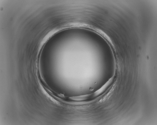 X0000070361381200606091021